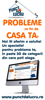 Cauta lucrari si profesionisti